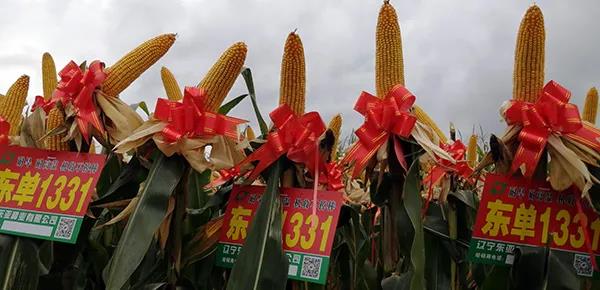 微(wēi)信圖片_20200917104725.jpg