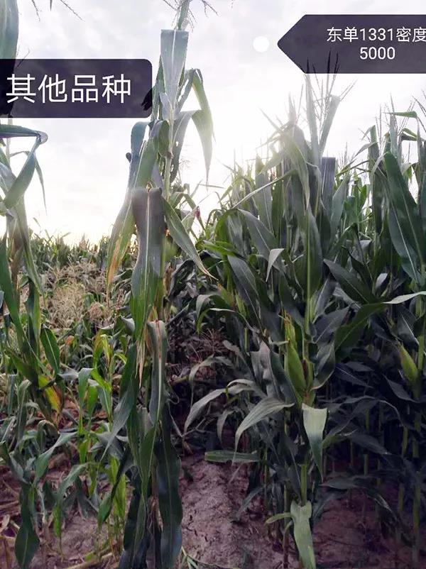 微(wēi)信圖片_20211009144139.jpg